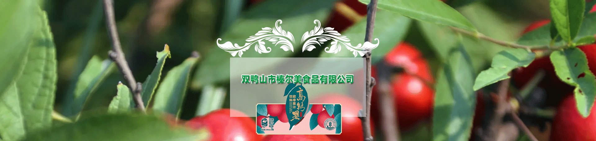 產(chǎn)品展示